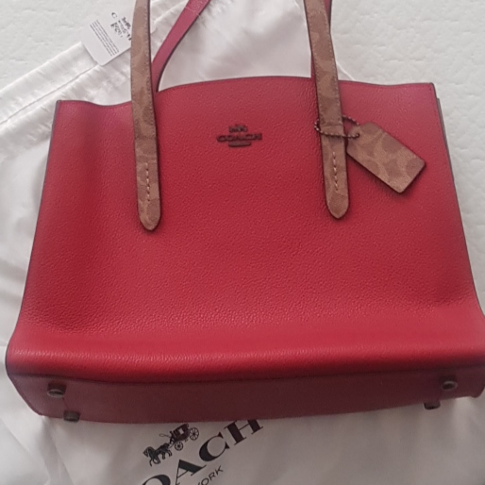 Coach Charlie Carryall